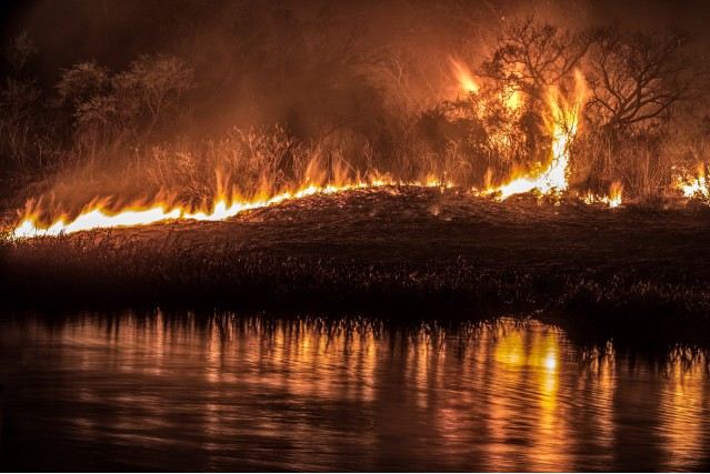 Un mundo incendiado: vida y muerte en la Edad del Fuego